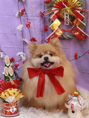 20230127梛都ちゃん